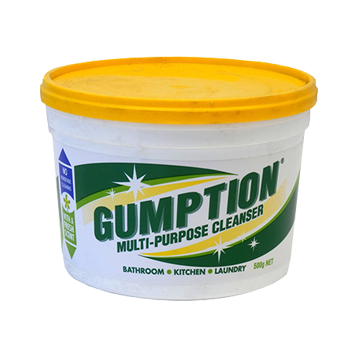Gumpion清洁膏.png